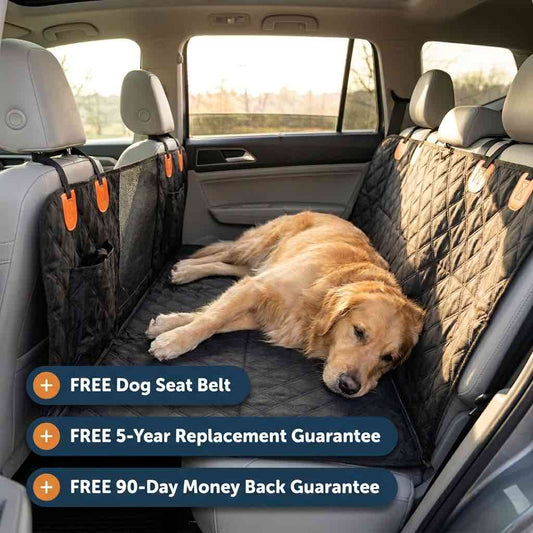 CoPup™ Backseat Extender | Hard-Bottom Dog Car Platform For Comfier Car Rides