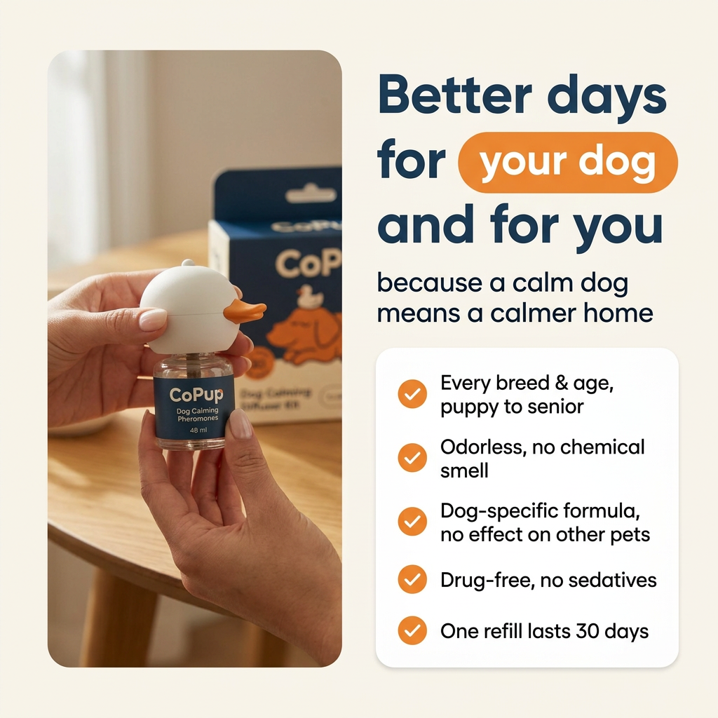CoPup Dogs Calming Diffuser Kit