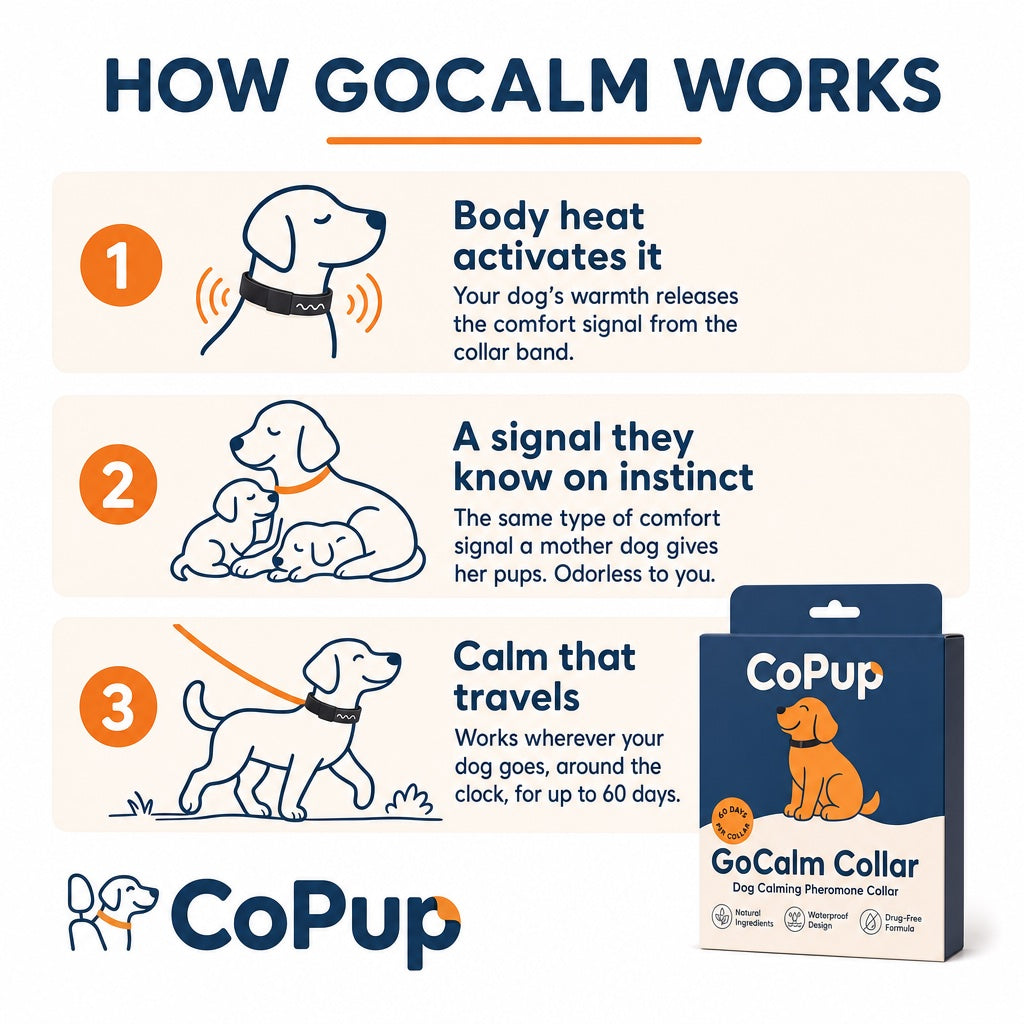 CoPup GoCalm™ Collar - 4 Pack