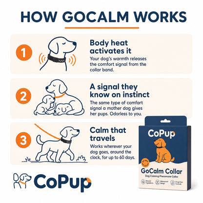 CoPup GoCalm™ Collar - 4 Pack
