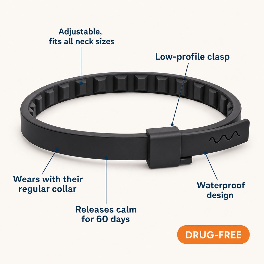 CoPup GoCalm™ Collar - 4 Pack