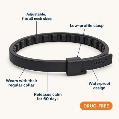 CoPup GoCalm™ Collar - 4 Pack